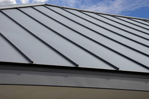 Best Solar Panel Roofing Installation  in Round Lake, IL